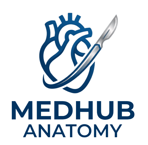 MedHub Logo