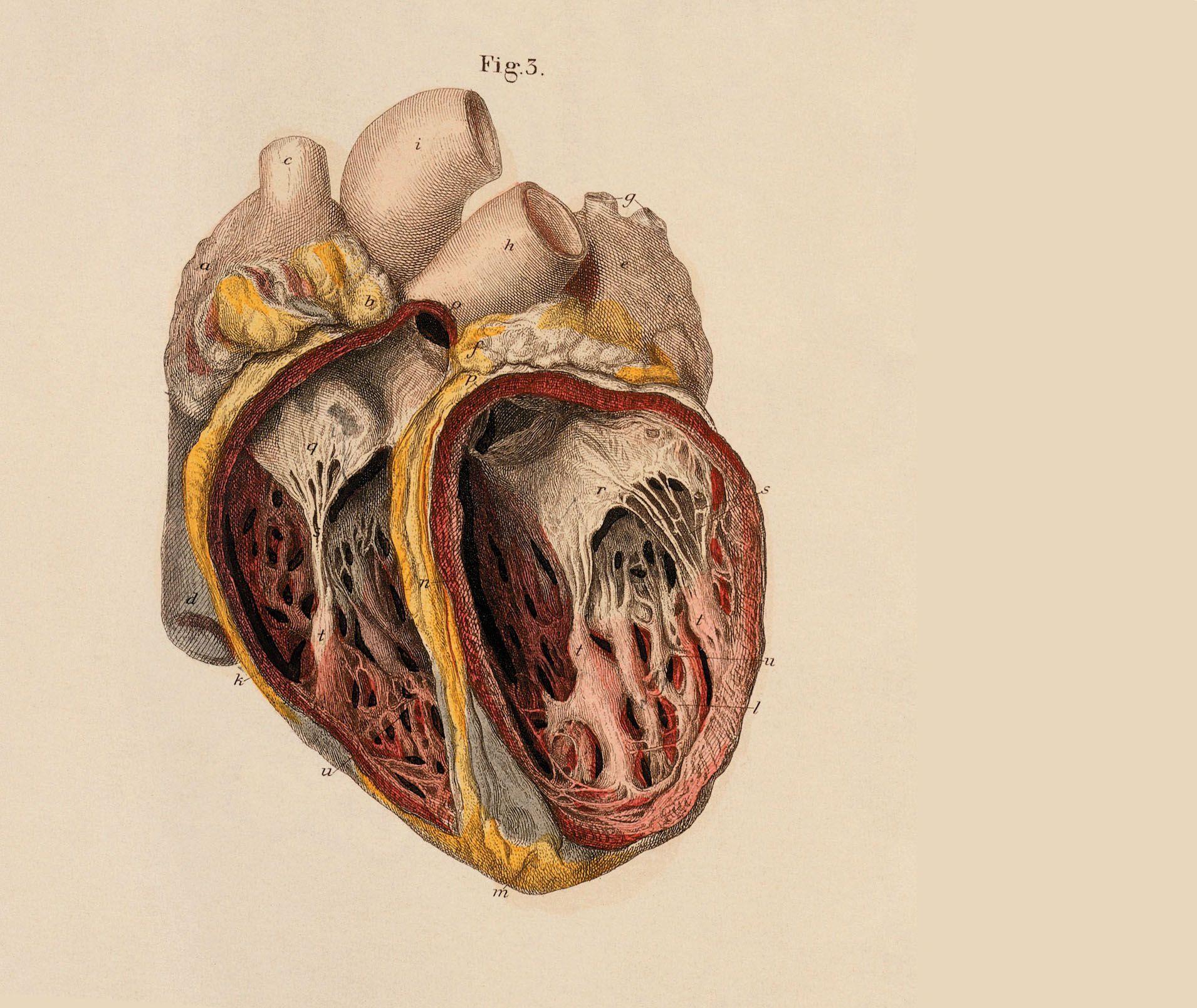 Medical Background